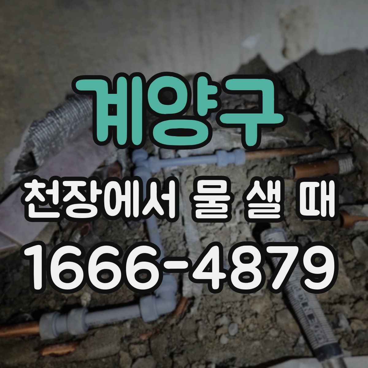 계양구 천장에서 물 샐 때