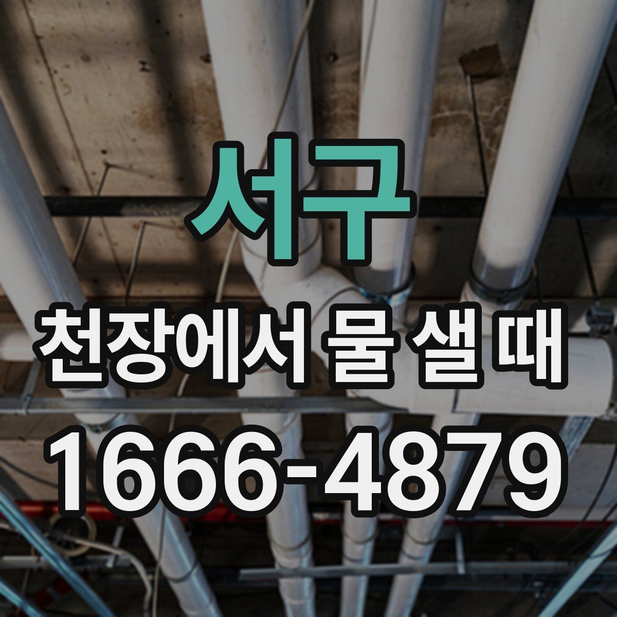 서구 천장에서 물 샐 때