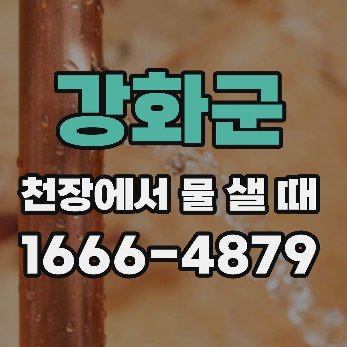 강화군 천장에서 물 샐 때