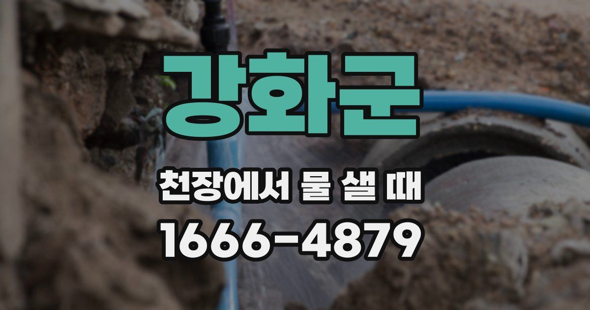 강화군 천장에서 물 샐 때