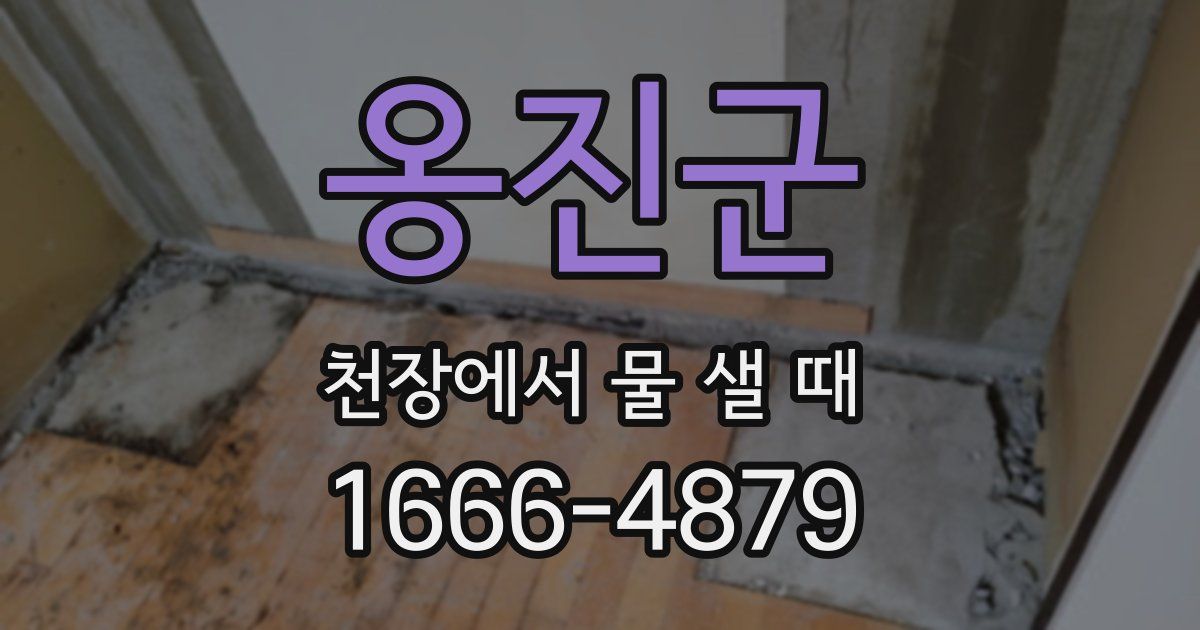 옹진군 천장에서 물 샐 때