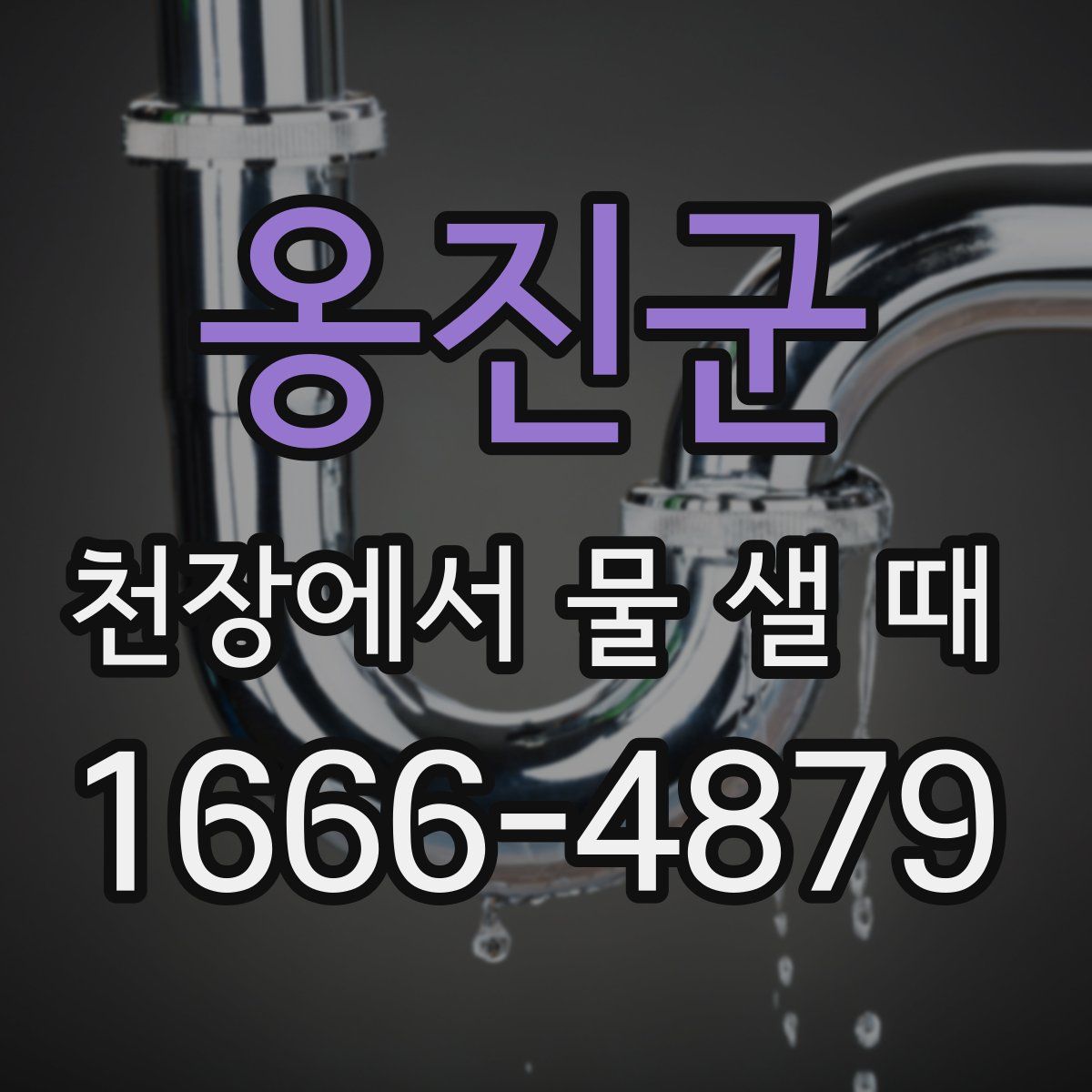 옹진군 천장에서 물 샐 때