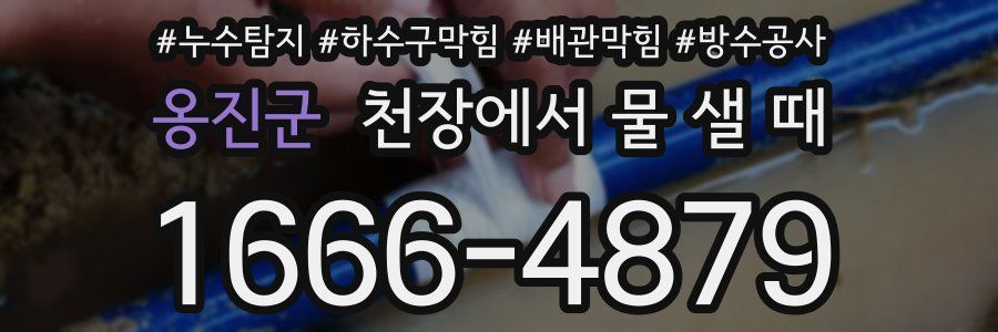 옹진군 천장에서 물 샐 때