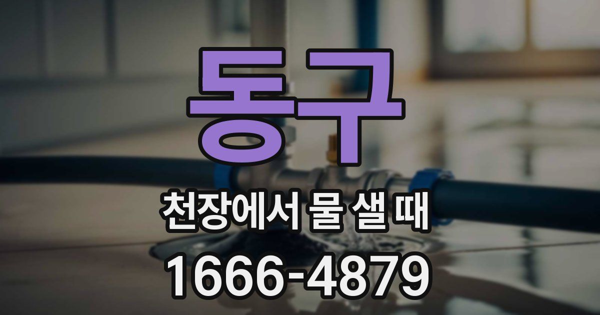 동구 천장에서 물 샐 때