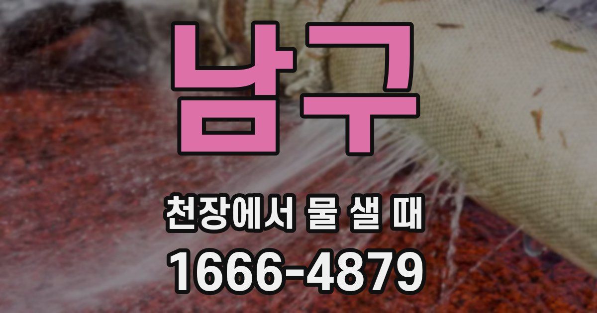 남구 천장에서 물 샐 때