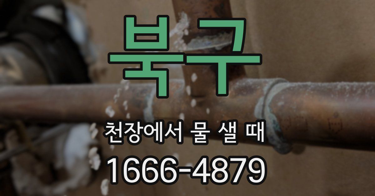 북구 천장에서 물 샐 때