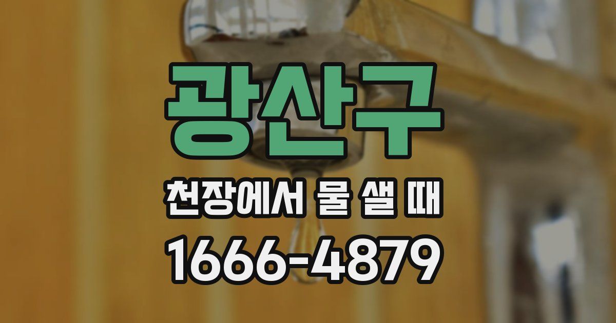 광산구 천장에서 물 샐 때
