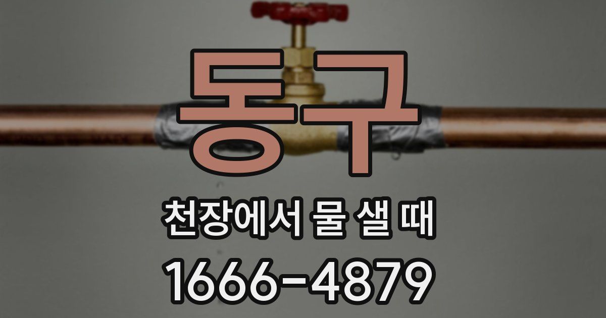동구 천장에서 물 샐 때