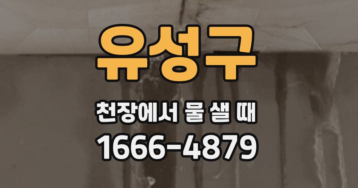 유성구 천장에서 물 샐 때