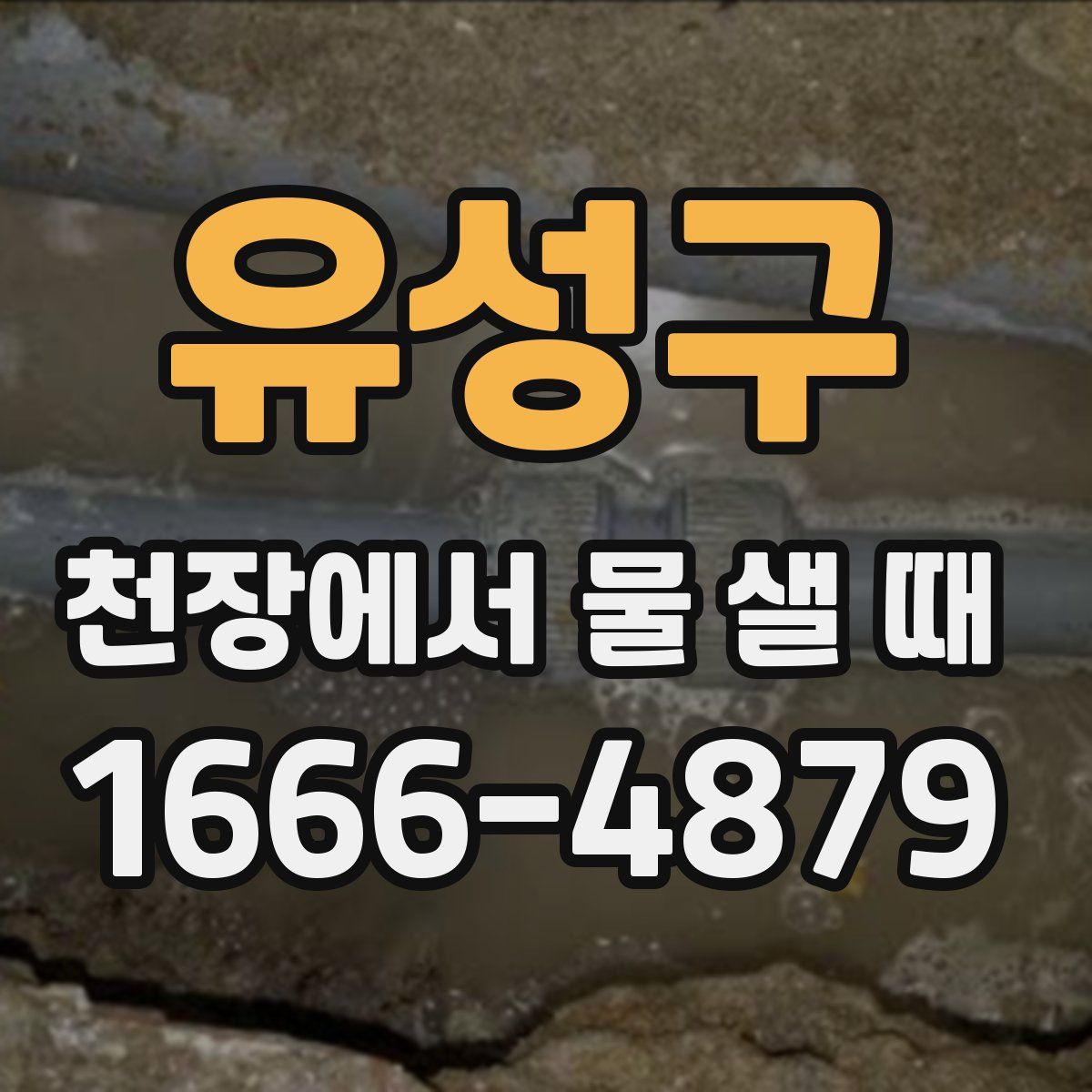 유성구 천장에서 물 샐 때