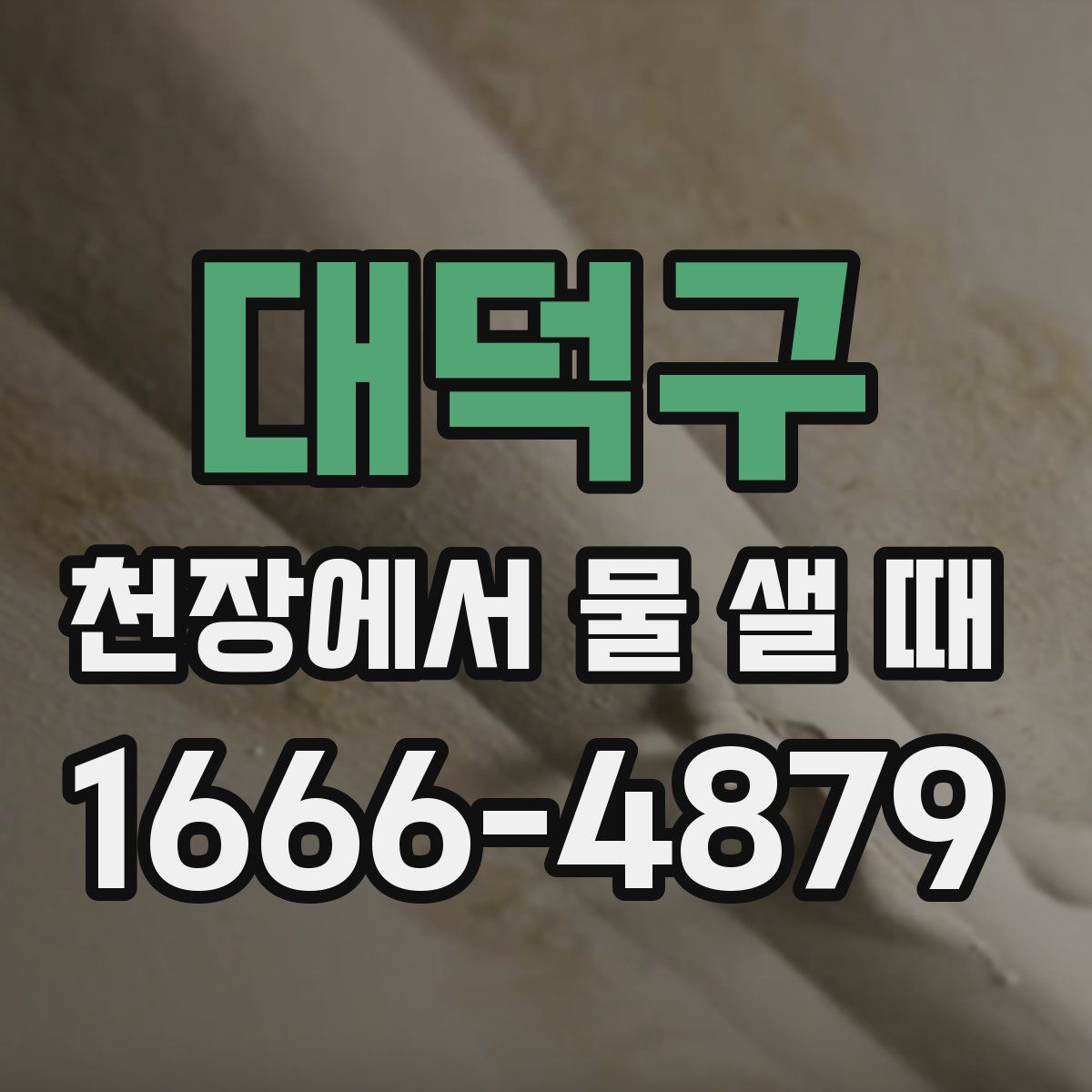 대덕구 천장에서 물 샐 때