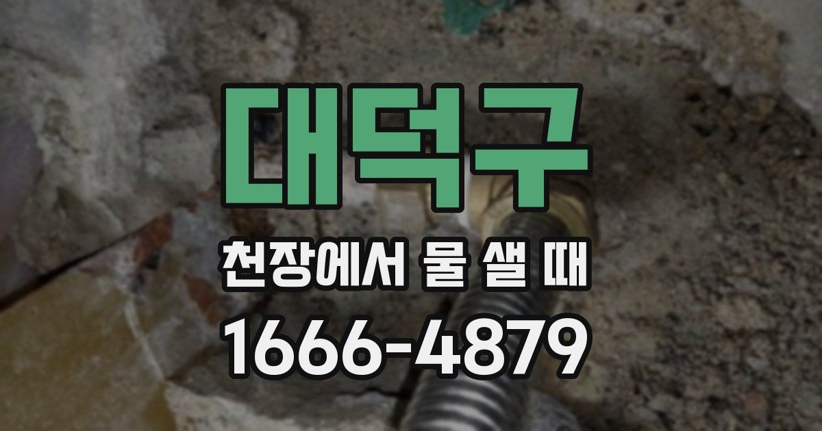 대덕구 천장에서 물 샐 때