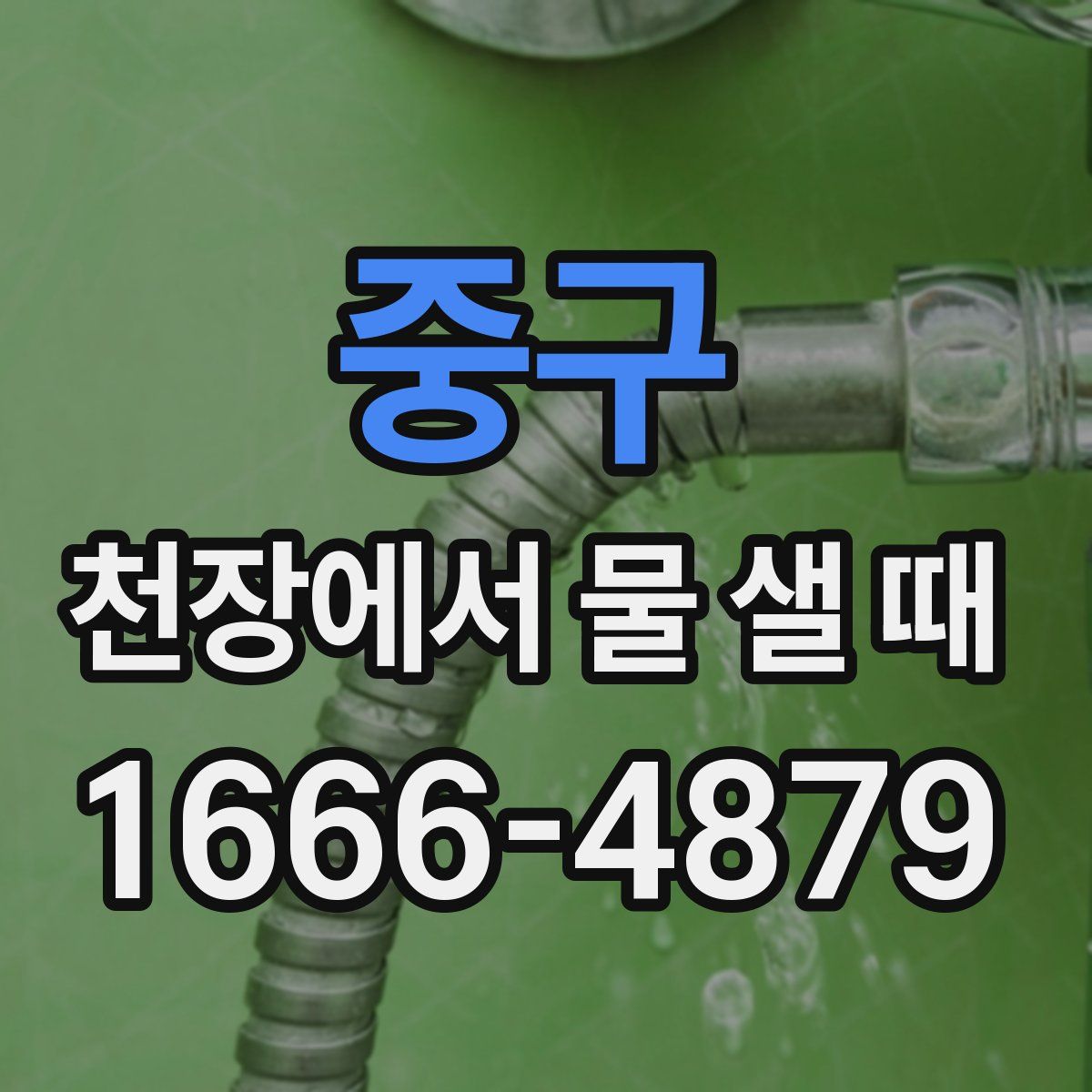 중구 천장에서 물 샐 때