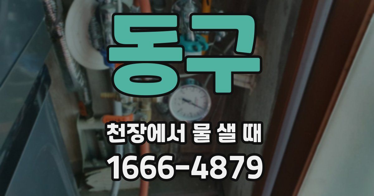 동구 천장에서 물 샐 때