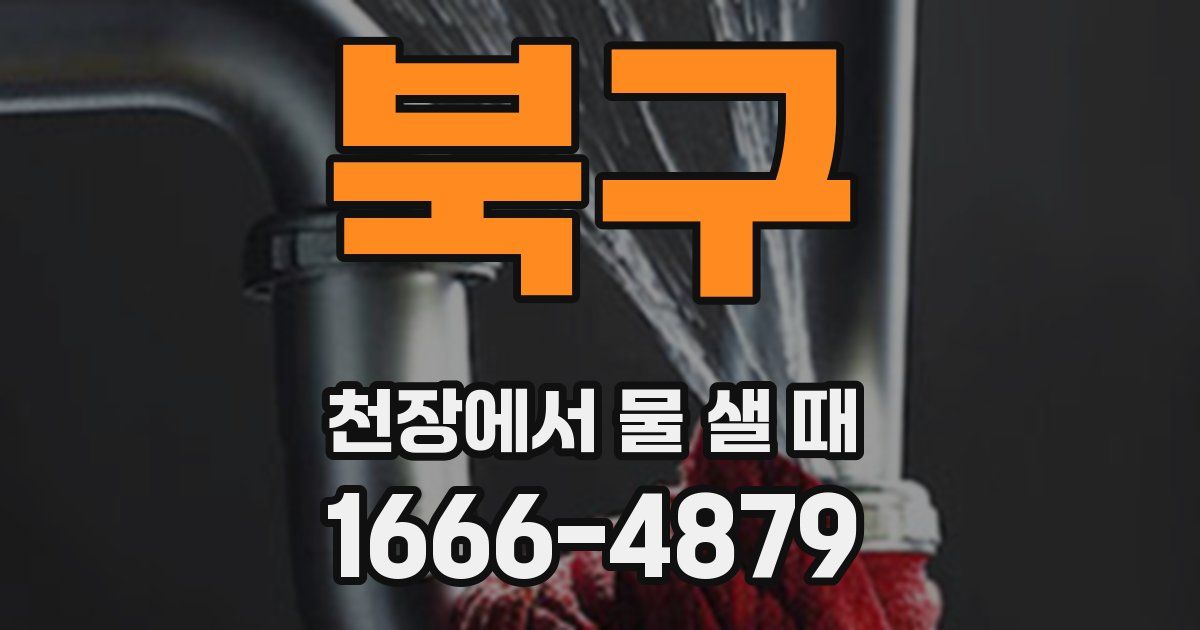 북구 천장에서 물 샐 때