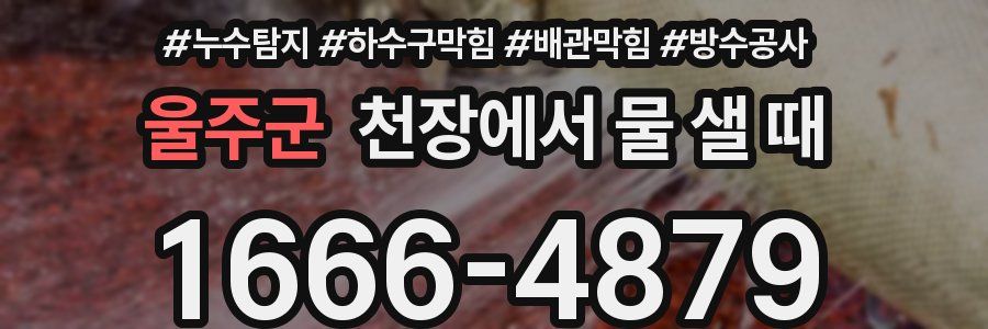 울주군 천장에서 물 샐 때