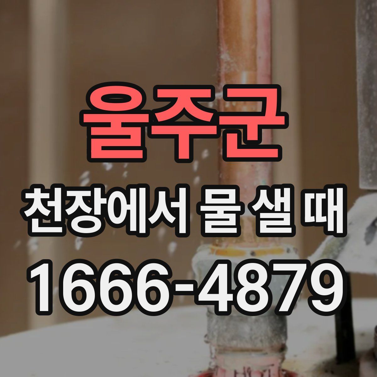 울주군 천장에서 물 샐 때