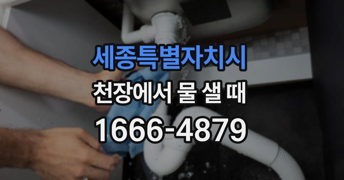 세종특별자치시 천장에서 물 샐 때