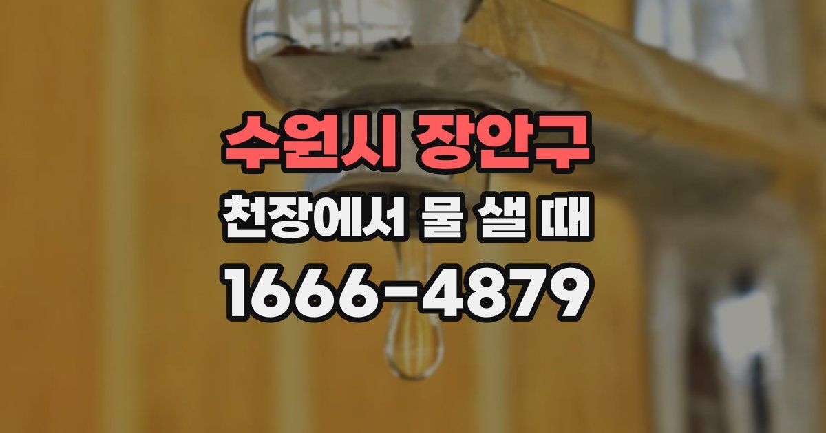 수원시 장안구 천장에서 물 샐 때
