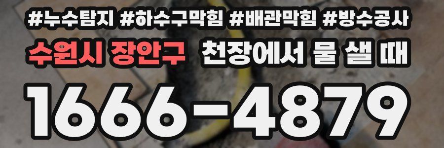 수원시 장안구 천장에서 물 샐 때