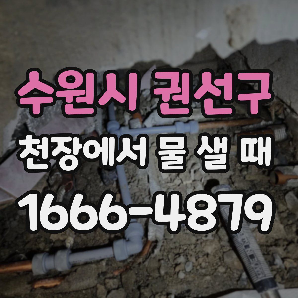 수원시 권선구 천장에서 물 샐 때