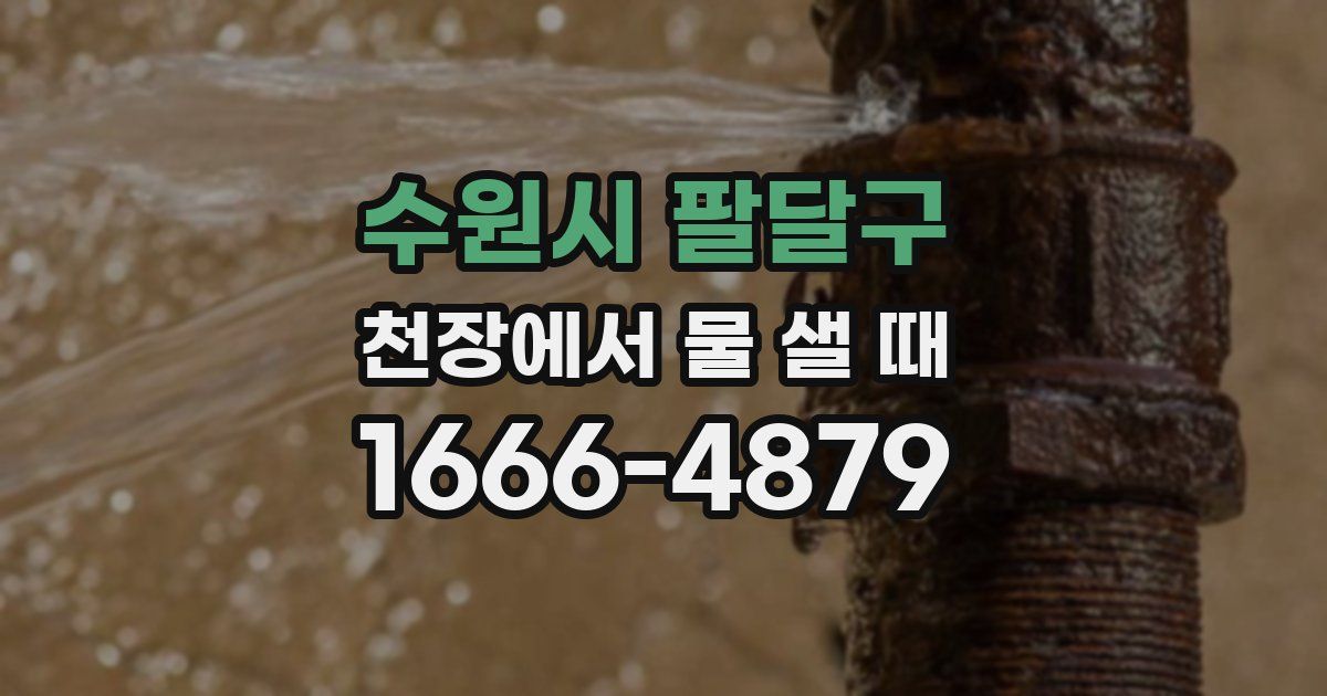 수원시 팔달구 천장에서 물 샐 때