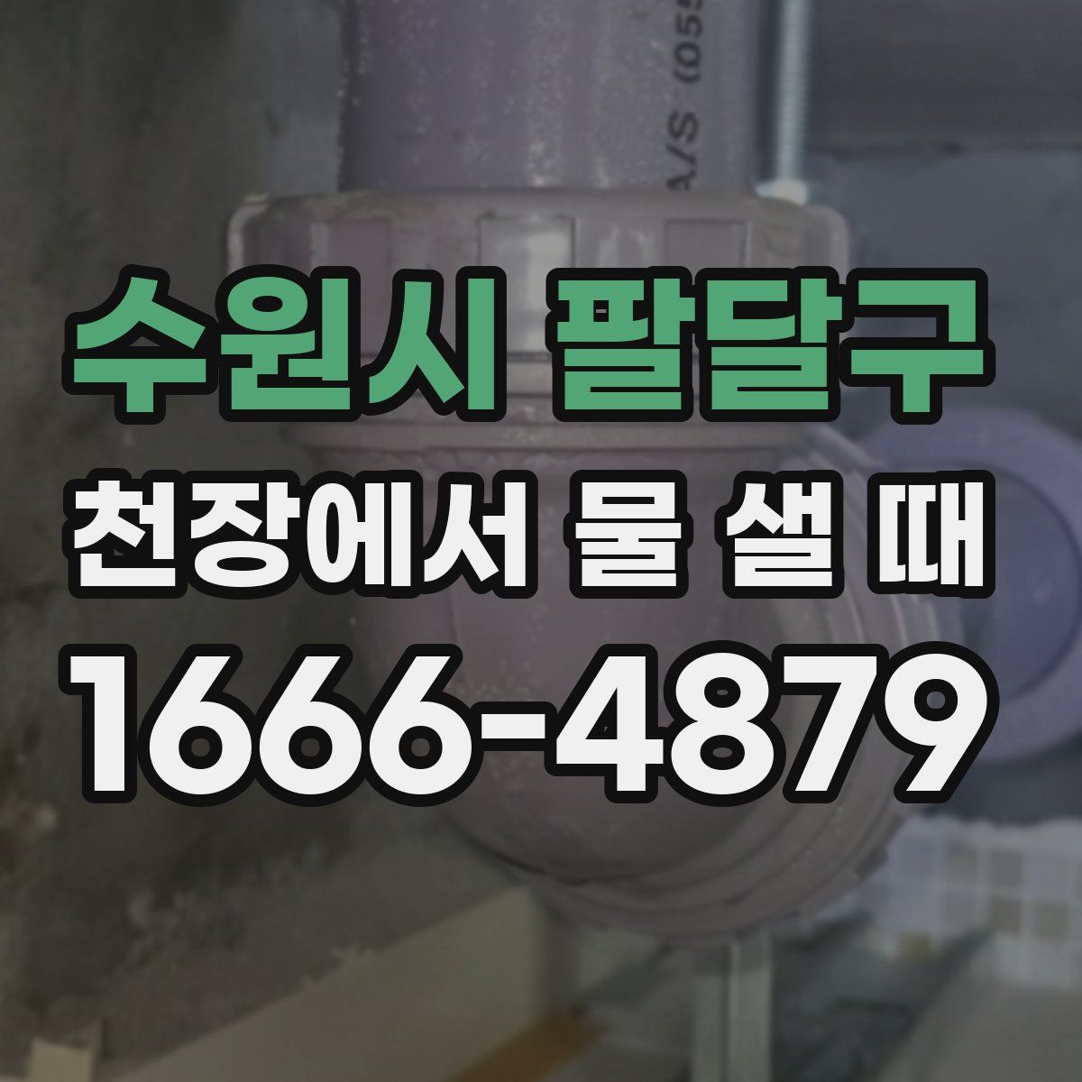 수원시 팔달구 천장에서 물 샐 때