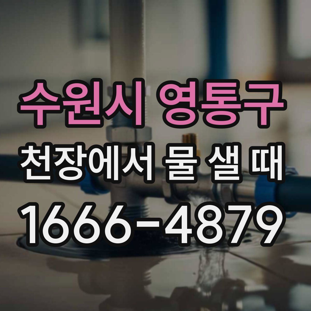 수원시 영통구 천장에서 물 샐 때
