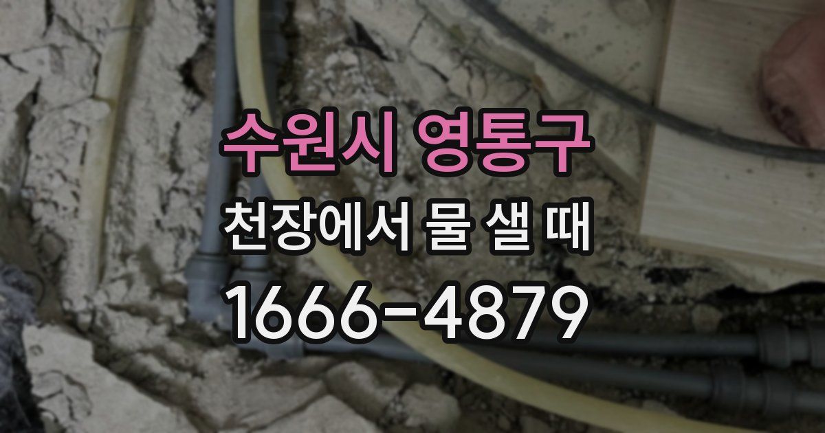 수원시 영통구 천장에서 물 샐 때
