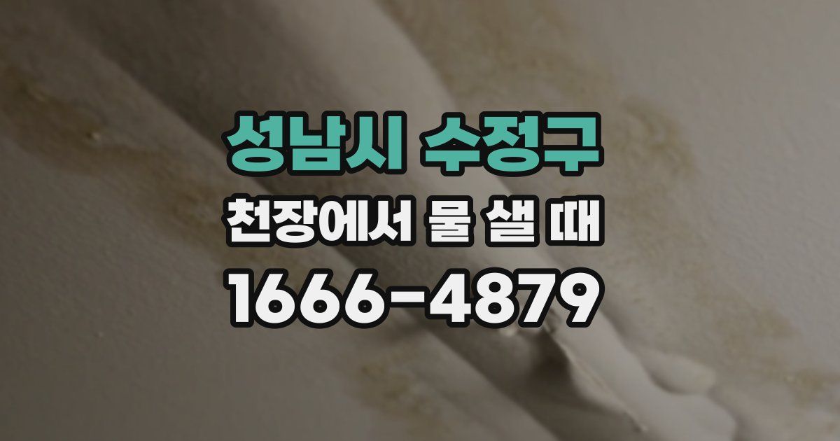 성남시 수정구 천장에서 물 샐 때