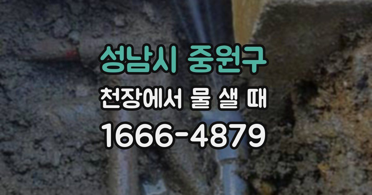 성남시 중원구 천장에서 물 샐 때