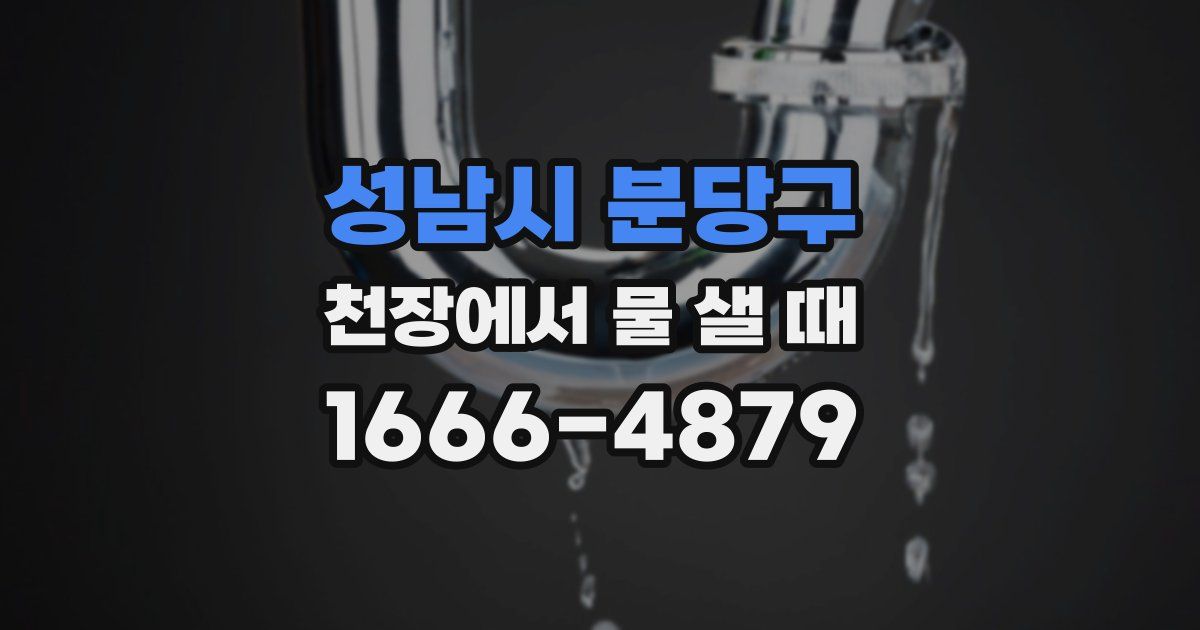 성남시 분당구 천장에서 물 샐 때