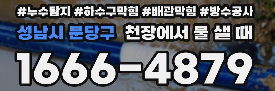 성남시 분당구 천장에서 물 샐 때