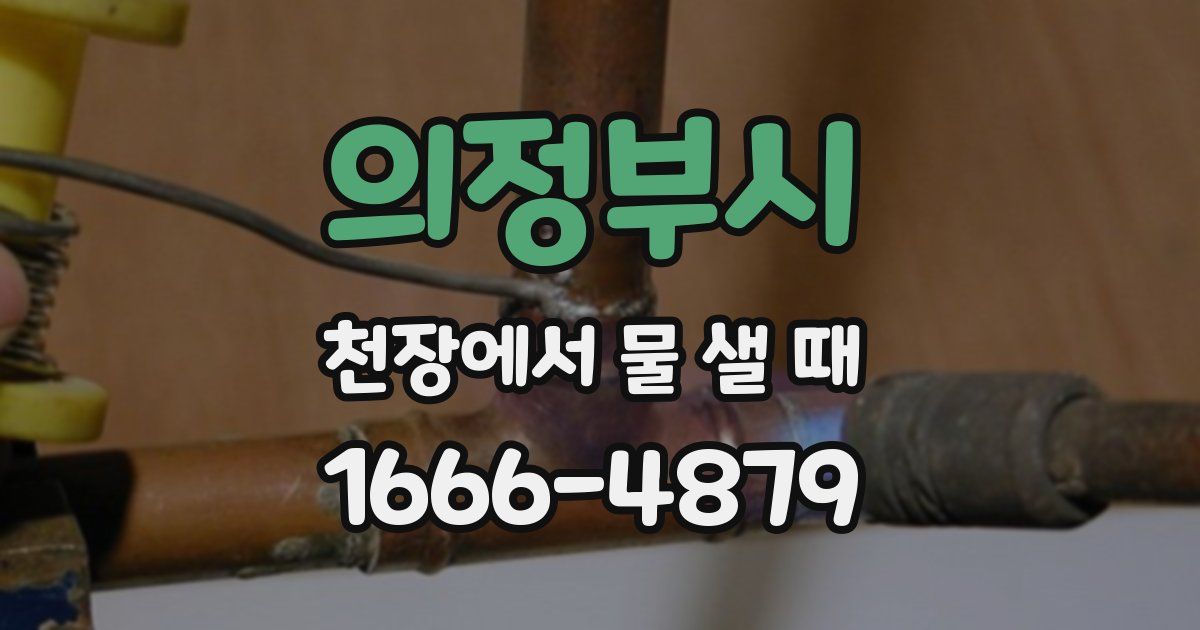 의정부시 천장에서 물 샐 때
