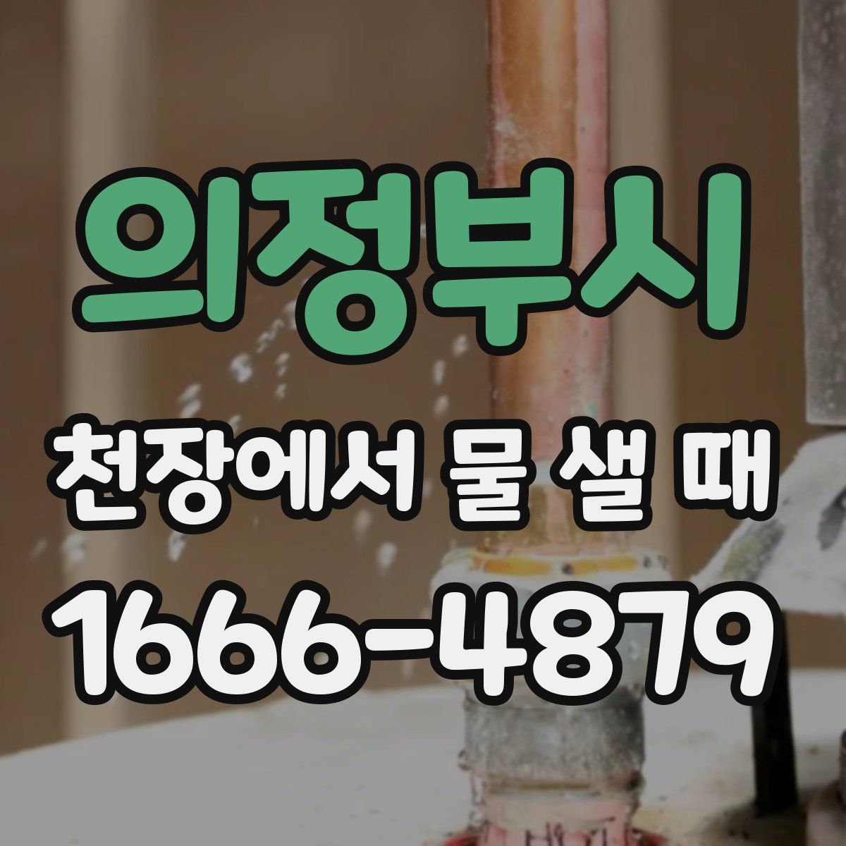 의정부시 천장에서 물 샐 때
