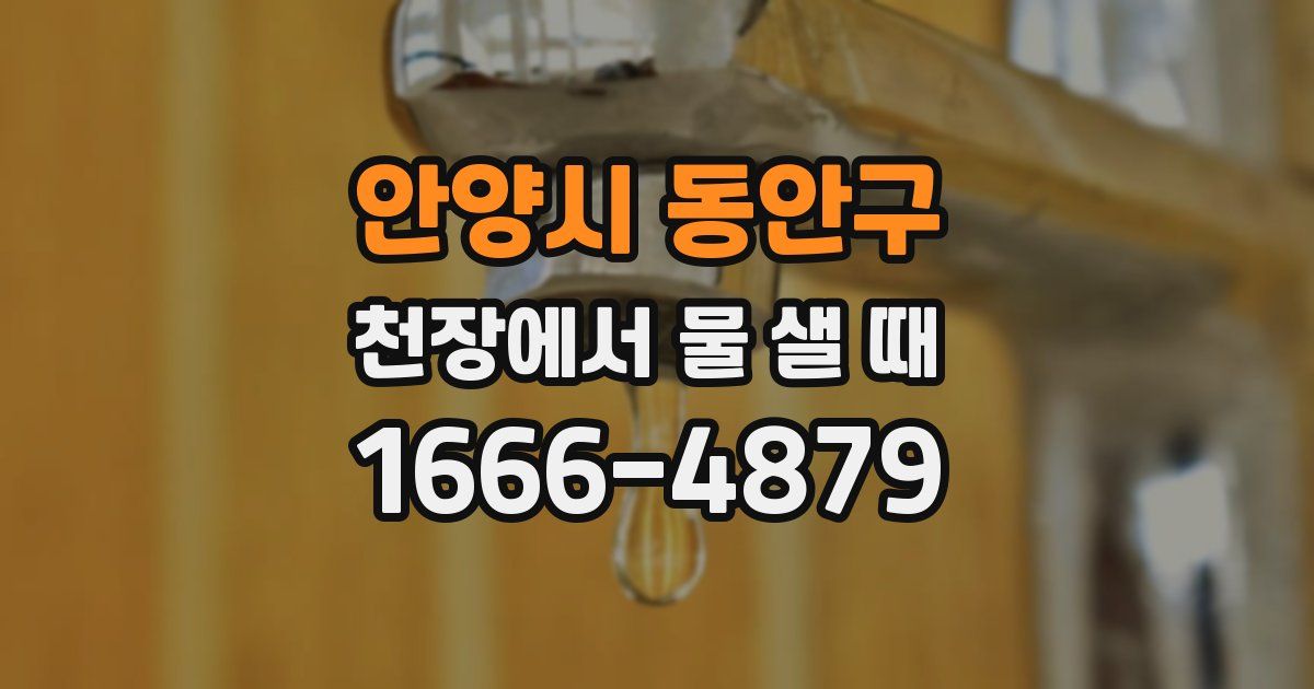 안양시 동안구 천장에서 물 샐 때