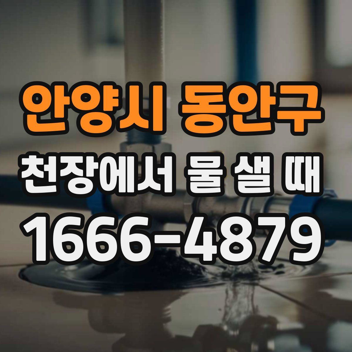 안양시 동안구 천장에서 물 샐 때