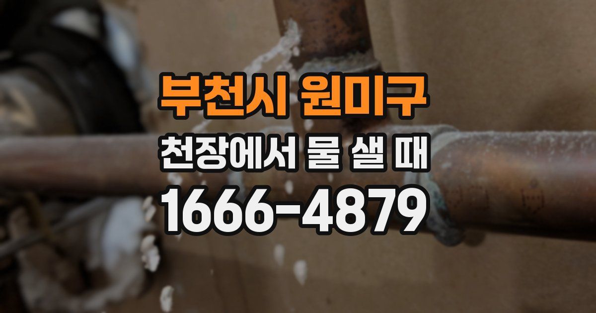 부천시 원미구 천장에서 물 샐 때