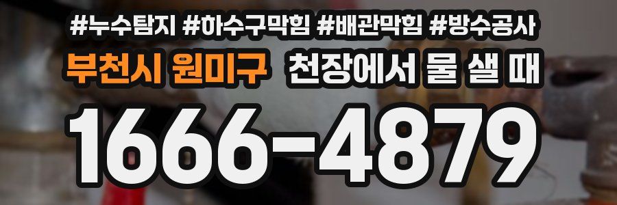 부천시 원미구 천장에서 물 샐 때