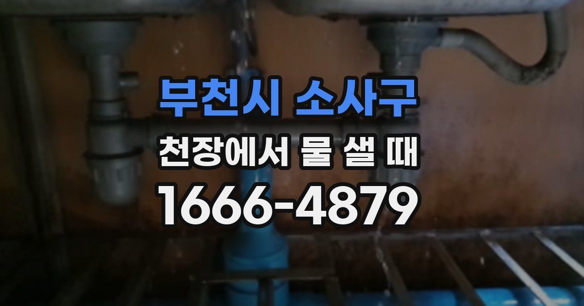 부천시 소사구 천장에서 물 샐 때