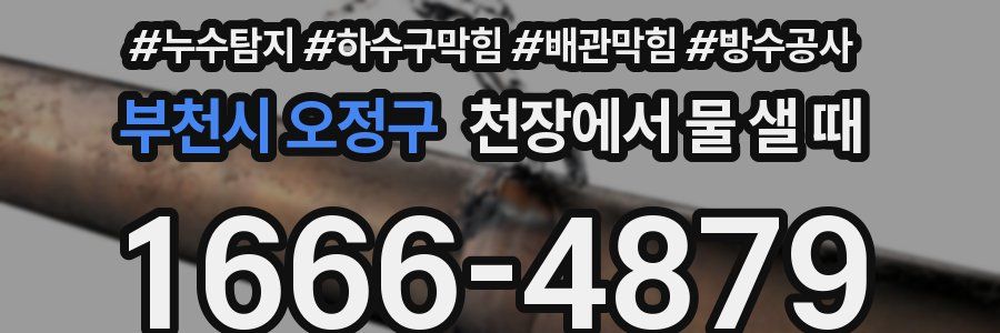 부천시 오정구 천장에서 물 샐 때