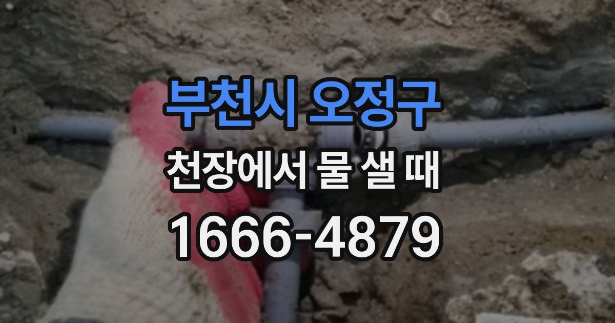 부천시 오정구 천장에서 물 샐 때