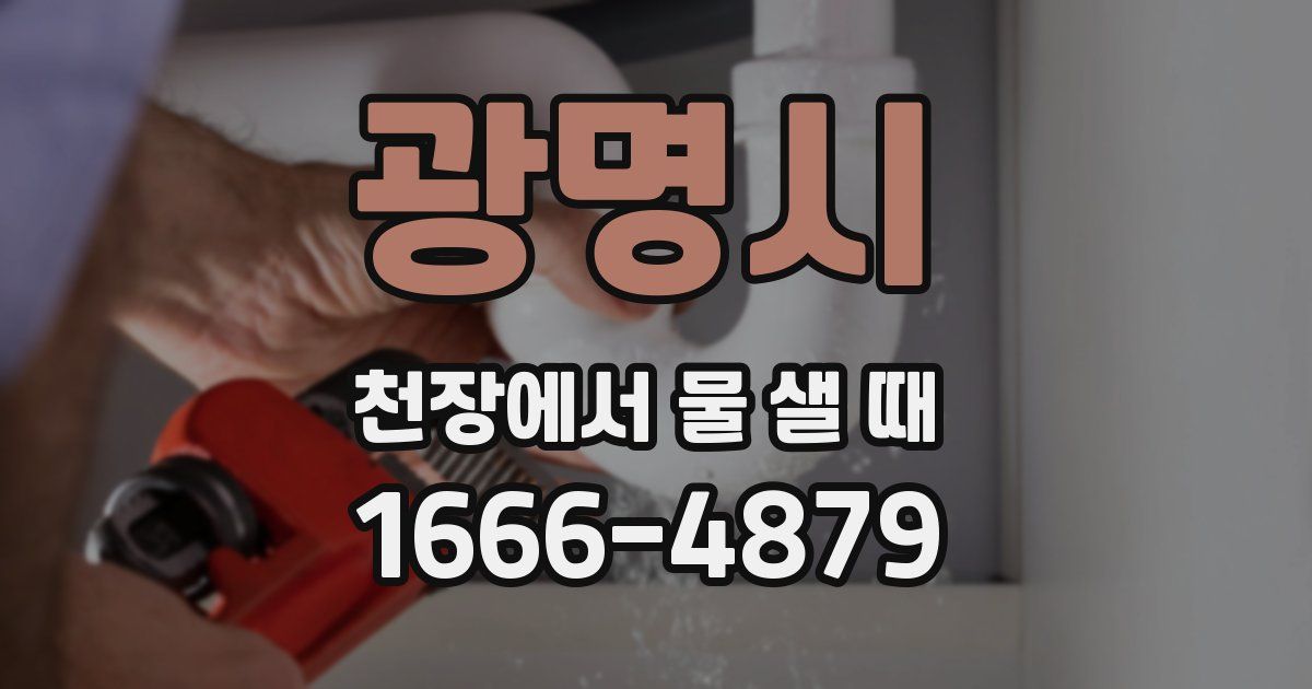 광명시 천장에서 물 샐 때