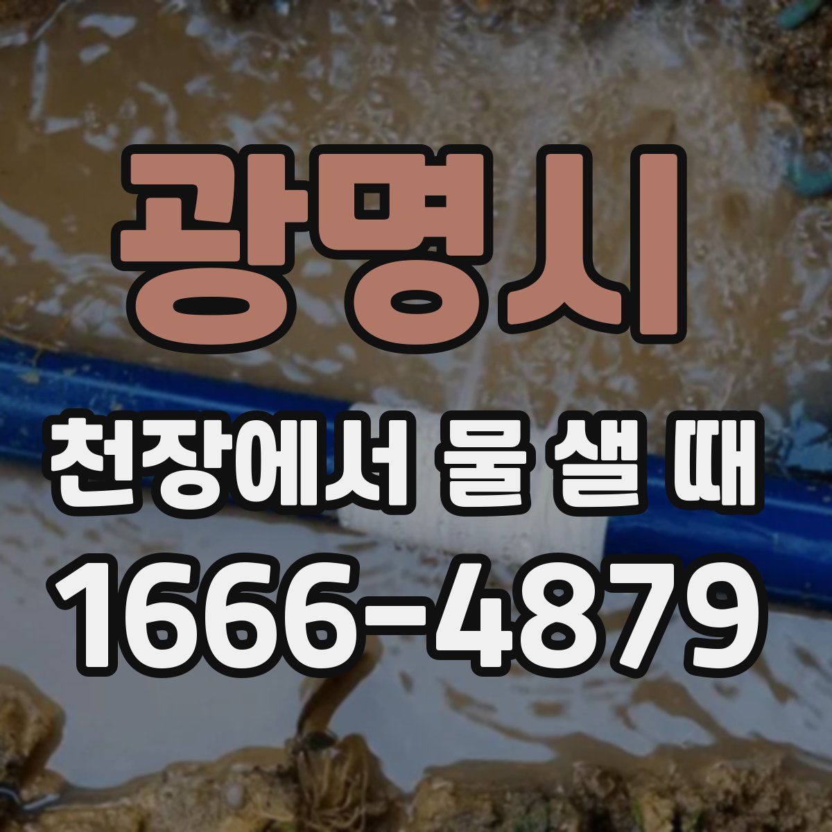 광명시 천장에서 물 샐 때