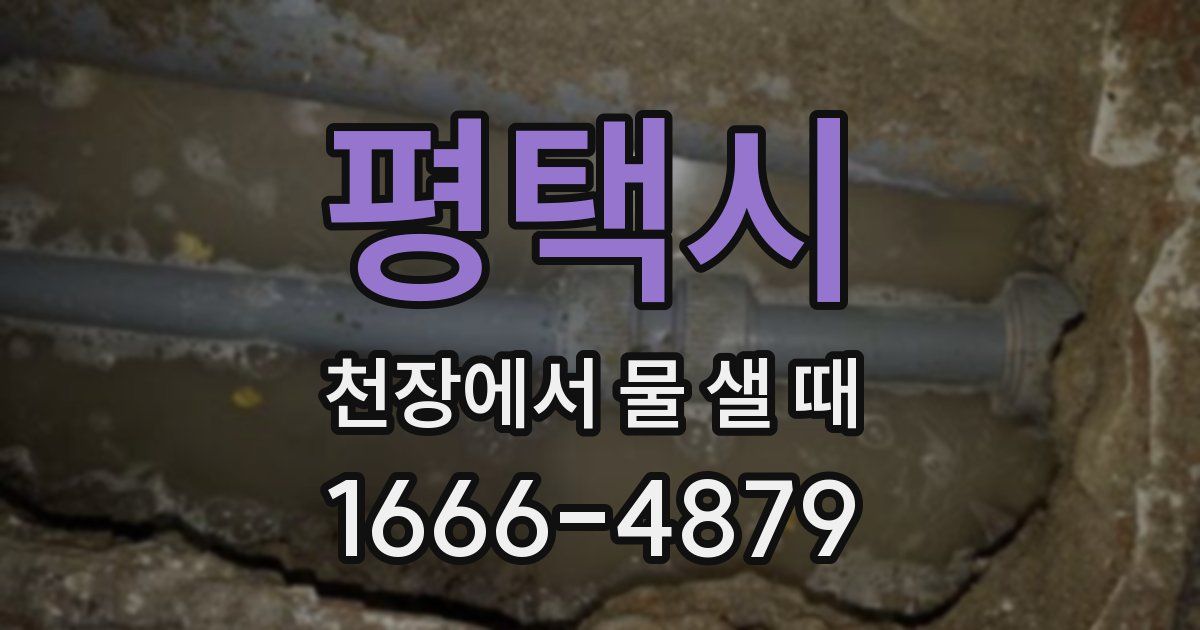 평택시 천장에서 물 샐 때