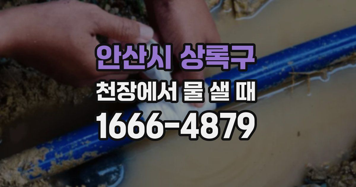 안산시 상록구 천장에서 물 샐 때