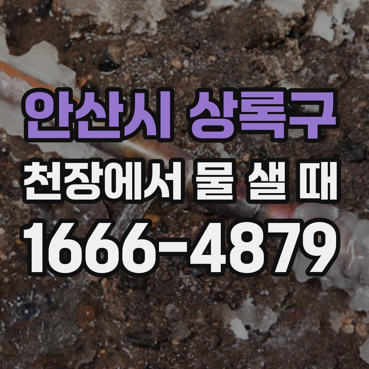 안산시 상록구 천장에서 물 샐 때