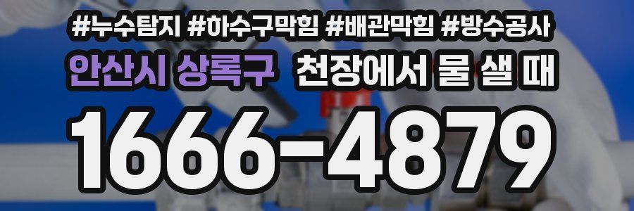 안산시 상록구 천장에서 물 샐 때