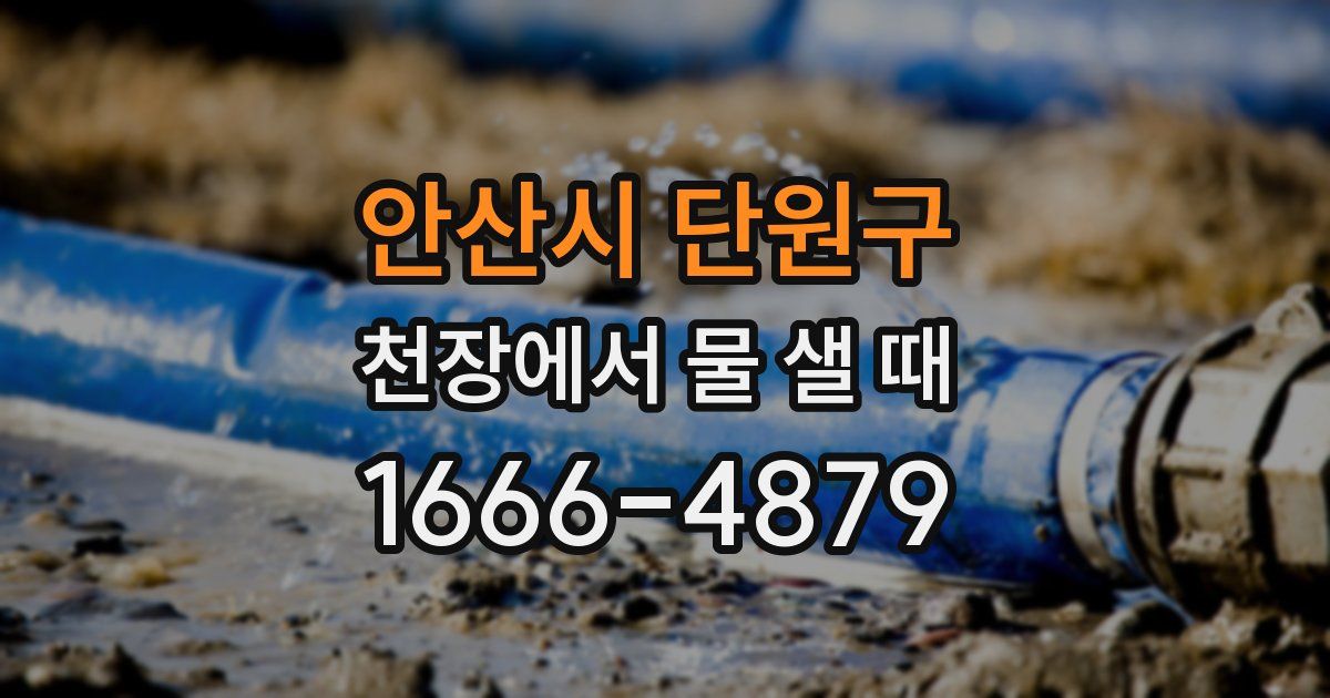 안산시 단원구 천장에서 물 샐 때