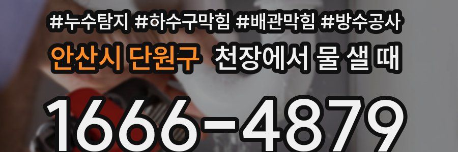 안산시 단원구 천장에서 물 샐 때